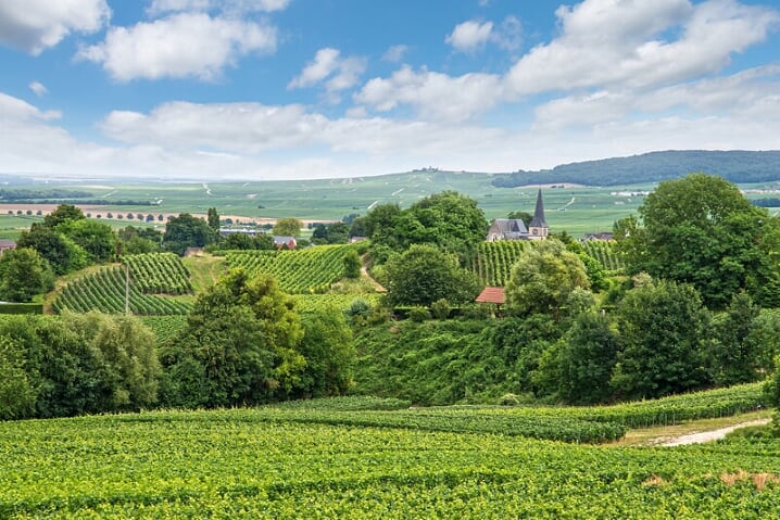 Parc Natural Regional de la Montagne de Reims, Champagnestreek