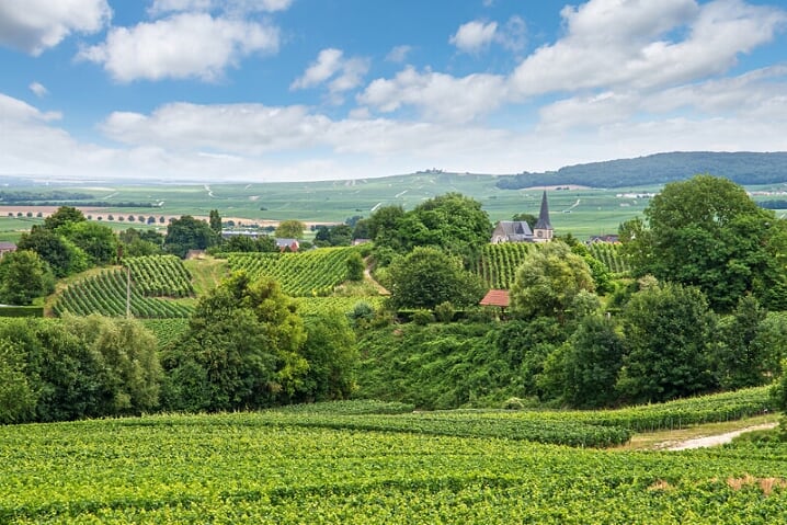 Parc Natural Regional de la Montagne de Reims, bezienswaardigheden Champagnestreek