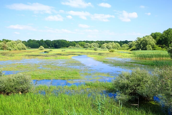 Parc Naturel Regional de la Foret dOrient, Champagnestreek