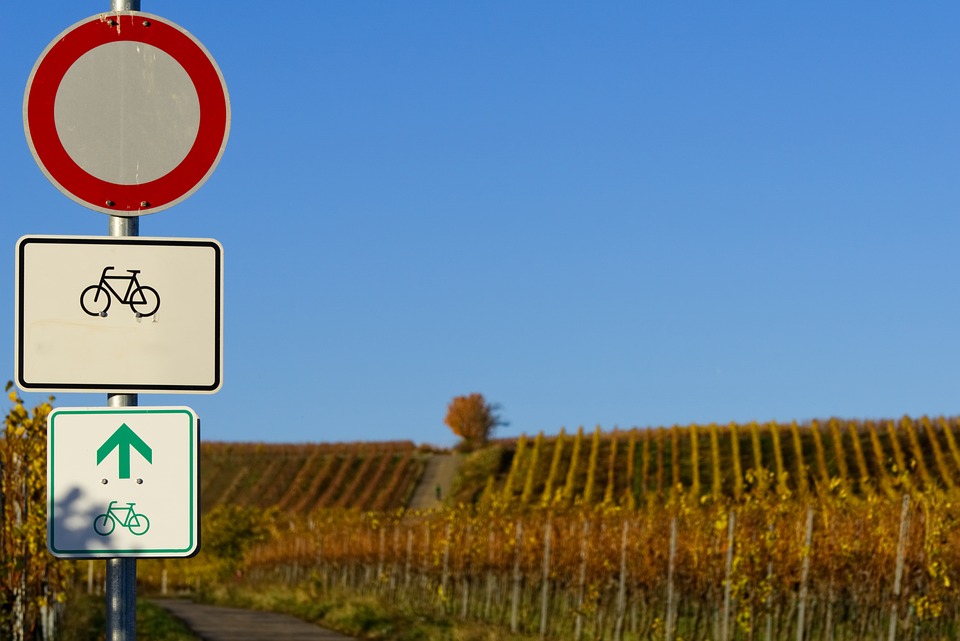 wijngaarden fietsroute, Champagnestreek