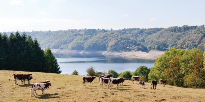 fuc009 view 04, Natuurhuisjes Auvergne