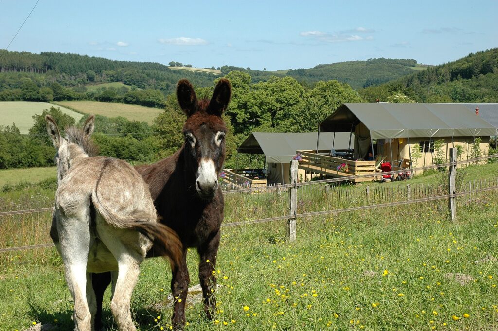 Morvan Rustique Lodge Tenten Min 1024x681