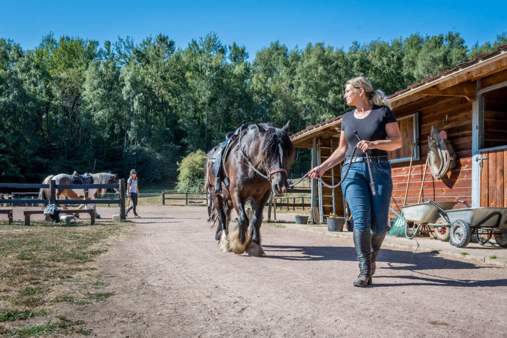 Morvan Rustique paardenstallen, te koop landgoed frankrijk