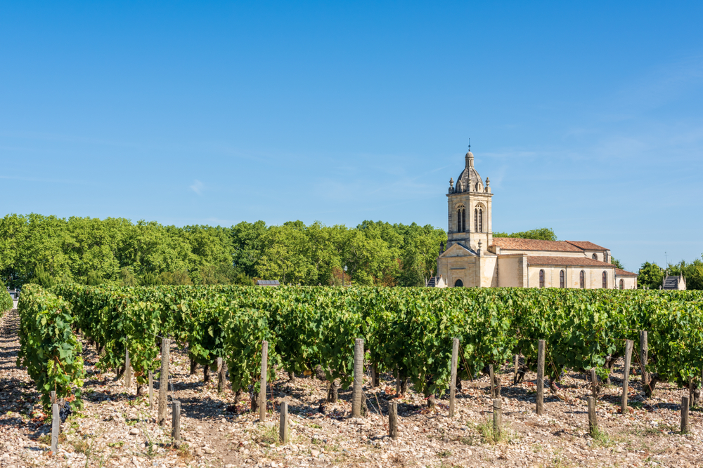 Wijngaard medoc Bordeaux shutterstock 1157404807, wijnstreken bordeaux