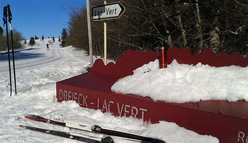Lac Vert Vogezen PVF, Vogezen