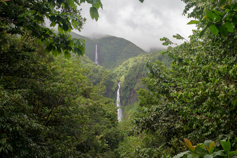 Nationaal Park Guadeloupe shutterstock 1265266072, nationale parken Frankrijk