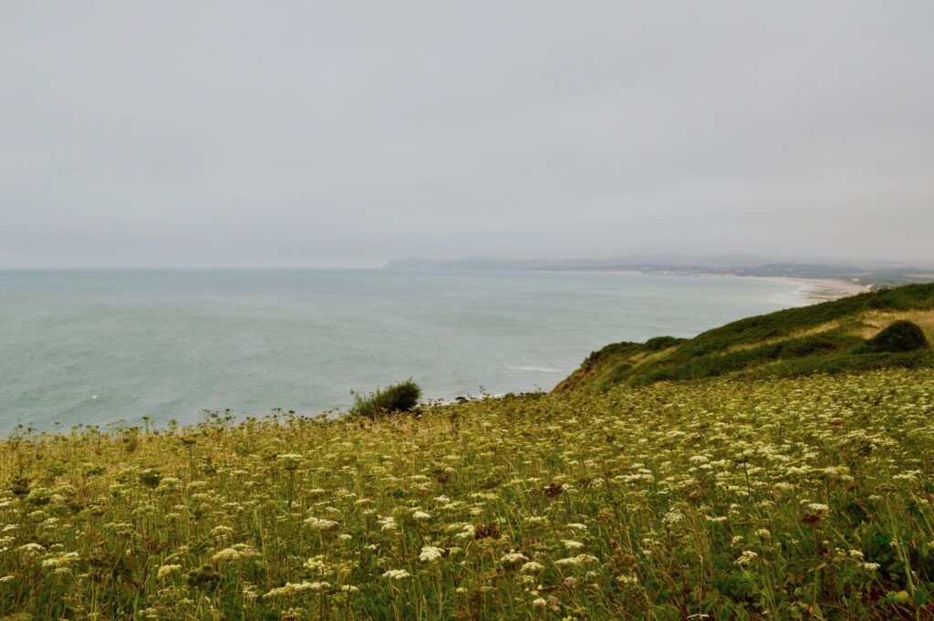 Cap Gris Nez uitzicht richting Wissant pvf, wandelen langs de Opaalkust