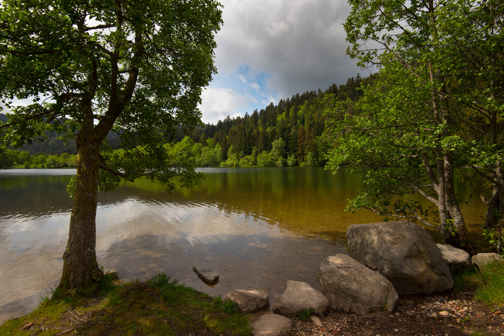 Lac de Longemer Vogezen shutterstock 1743808742, Meren Vogezen