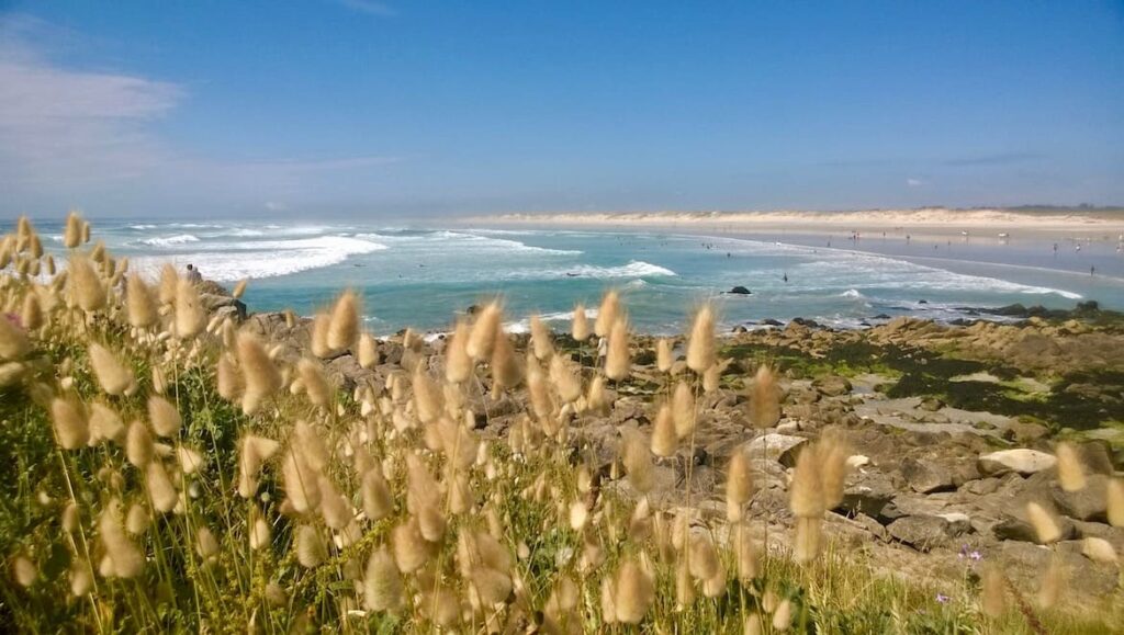 Pointe de la Torche pvf, Île-Tudy