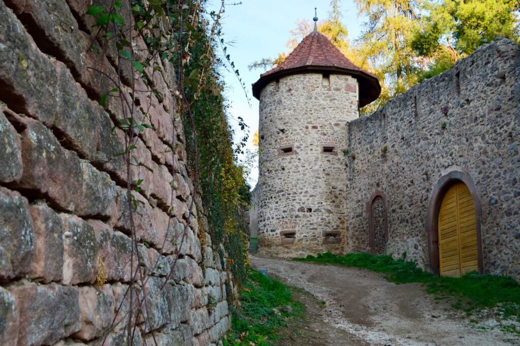 Ribeauville tour sorcieres PVF, Wandelen in Ribeauvillé