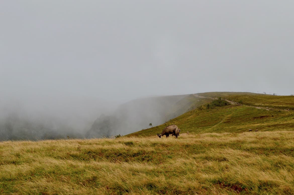 Gemzen vogezen regen pvf, Bezienswaardigheden in de Ardèche