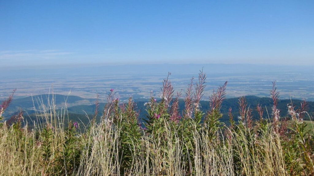 Grand Ballon Route des Cretes Vogezen PvF, route des cretes vogezen