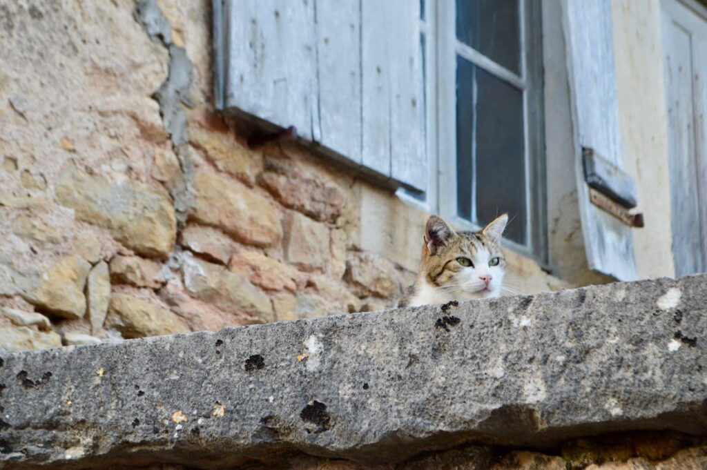 Kat saint pere PVF, De mooiste dorpjes en kastelen in het noorden van de Morvan