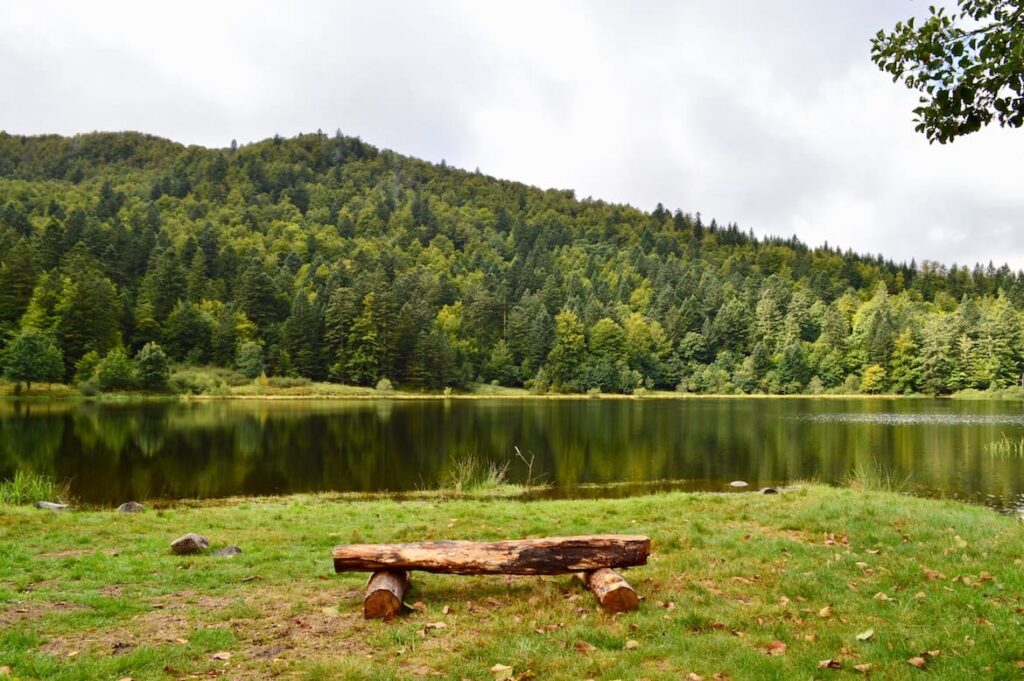 Lac de Blanchemer bankje wandelen vogezen pvf, wandelen La Bresse Vogezen