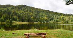 Lac de Blanchemer bankje wandelen vogezen pvf, leukste zwemmeren van Frankrijk