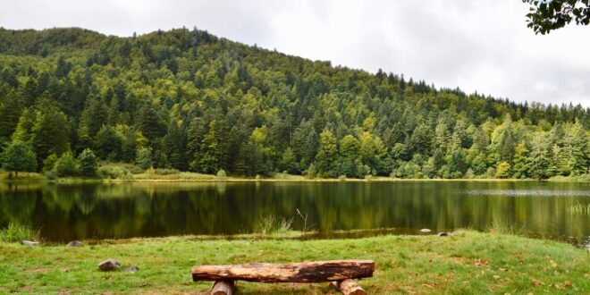 Lac de Blanchemer bankje wandelen vogezen pvf, glamping frankrijk