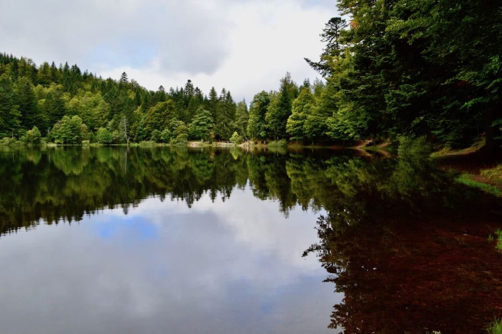 Lac de Blanchemer reflectie wandelen vogezen pvf, wandelen La Bresse Vogezen