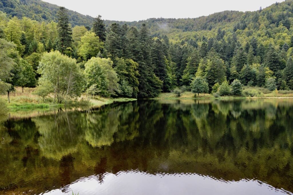 Lac de Blanchemer richting Rainkopf wandelen vogezen pvf, wandelen La Bresse Vogezen