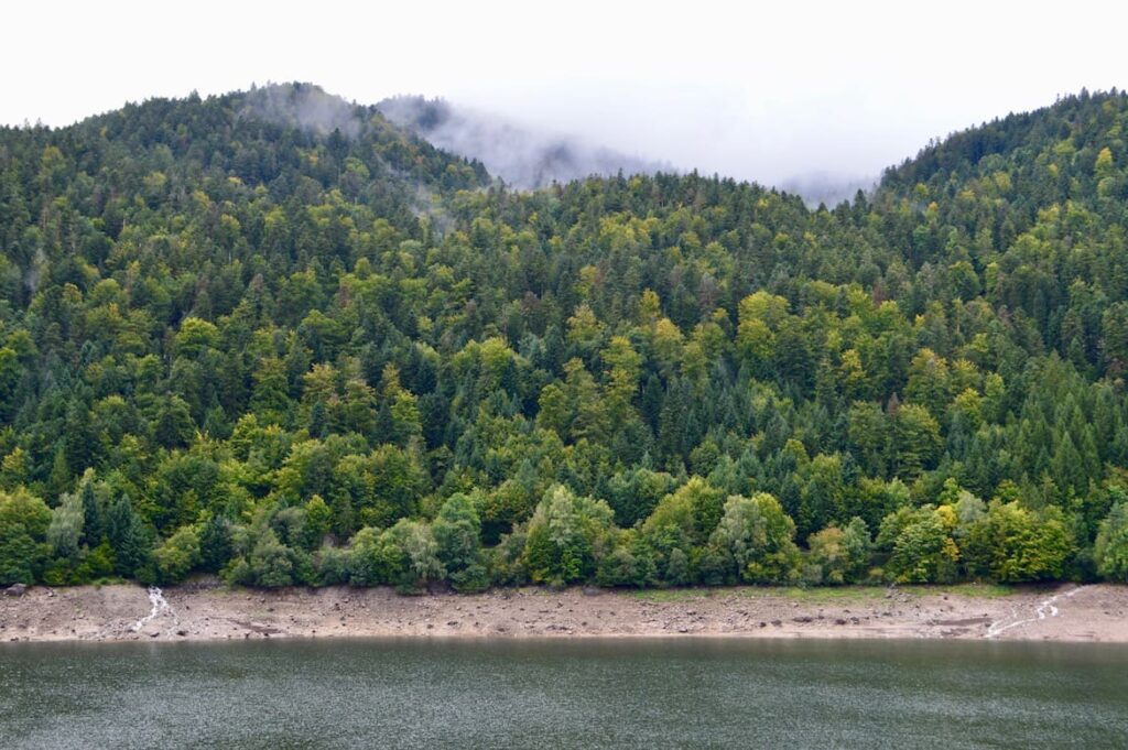 Lac de Kruth vogezen regen pvf, Vogezen