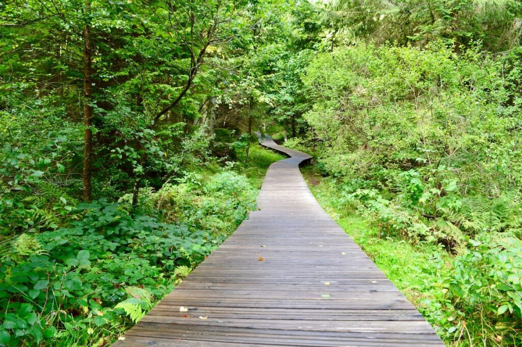 Lac de Lispach houten pad wandelen vogezen pvf, wandelen La Bresse Vogezen