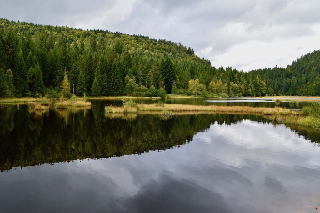 Lac de Lispach landschap wandelen vogezen pvf, wandelen La Bresse Vogezen