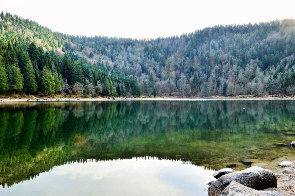 Lac des Corbeaux wandelen vogezen pvf, wandelen La Bresse Vogezen