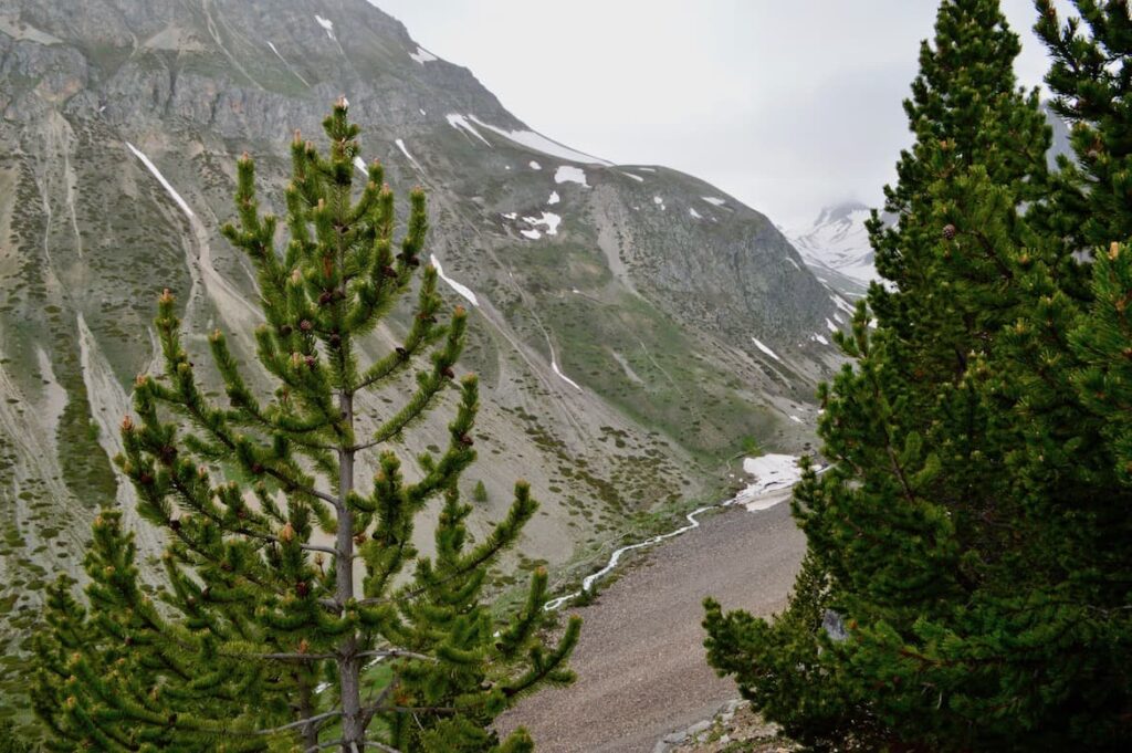 Le Vallon doorkijk PVF, Vallée de la Clarée