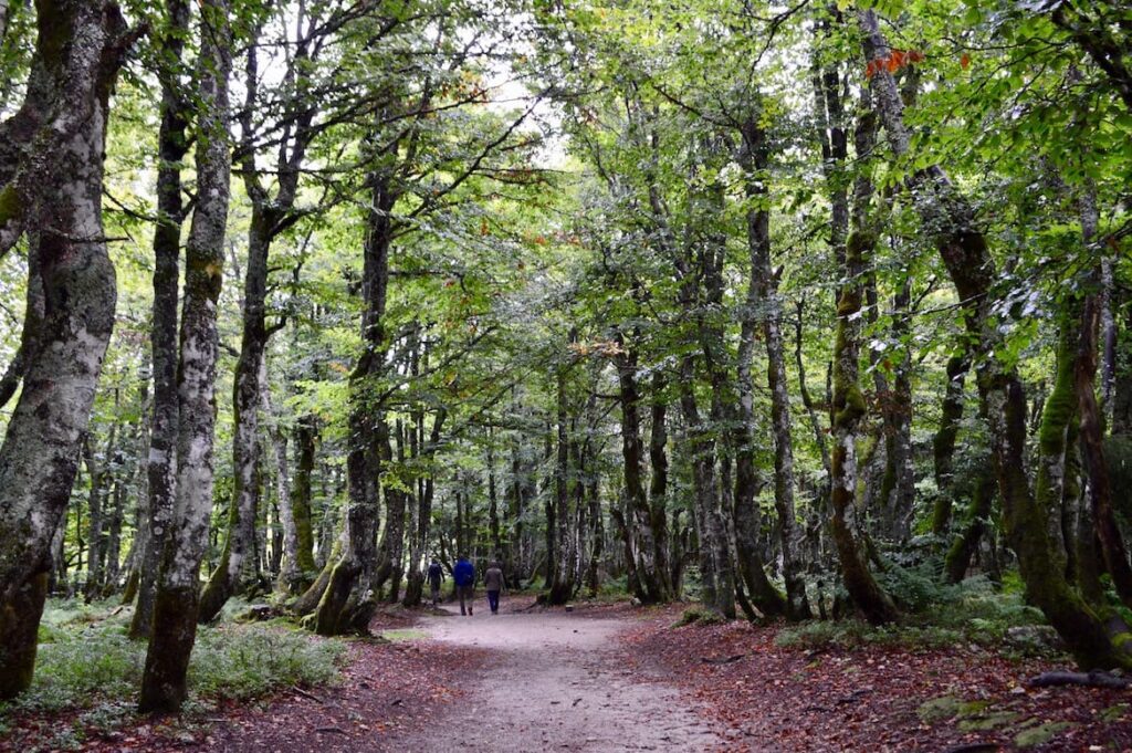 Trois Fours Route des Cretes Vogezen PvF, route des cretes vogezen