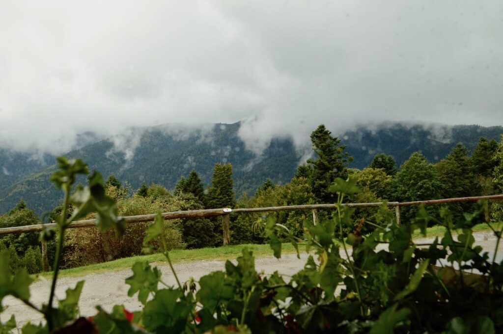 Uitzicht Ferme Auberge vogezen regen pvf, Vogezen
