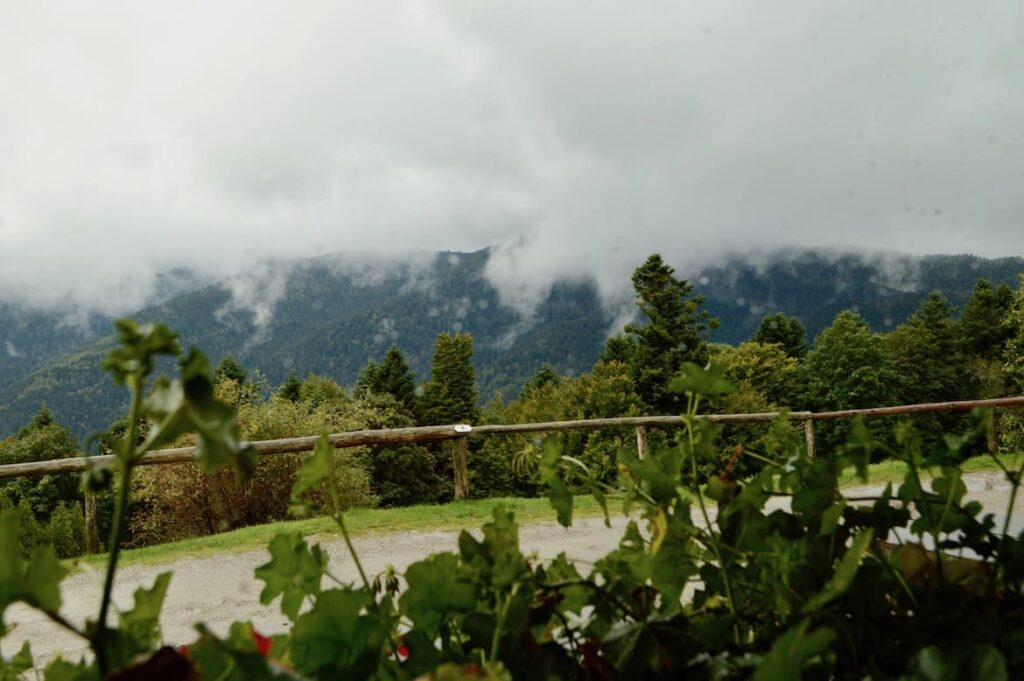 Uitzicht Ferme Auberge vogezen regen pvf, Vogezen regen