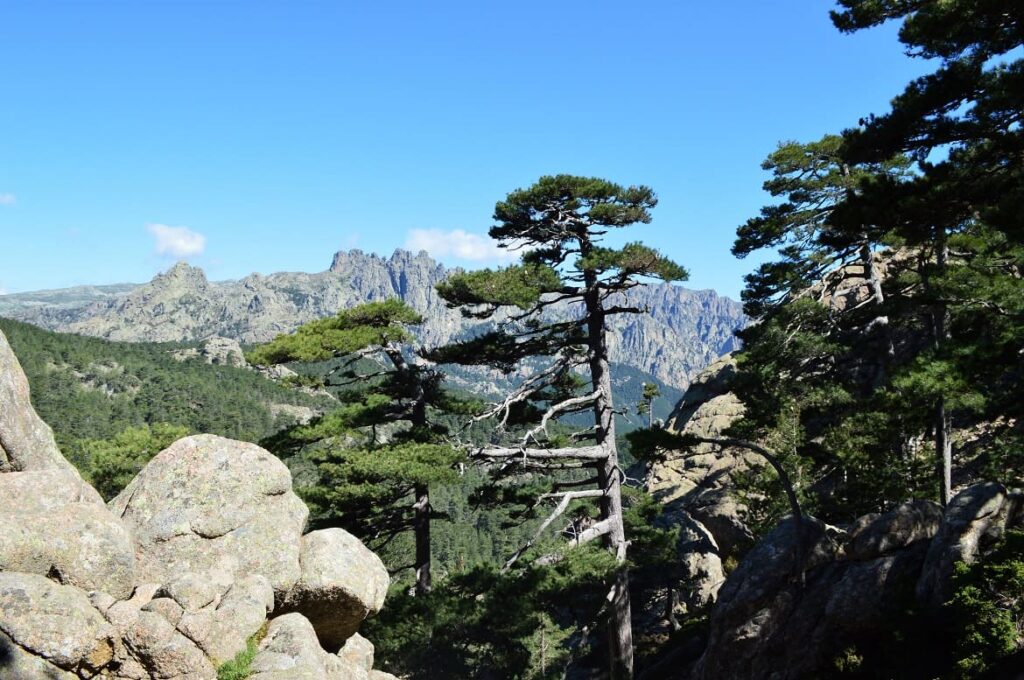 Bavella PVF, Natuur Corsica