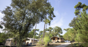Camping Huttopia Oleron Les Chenes Verts 16 916x516 1 310x165, Zininfrankrijk.nl