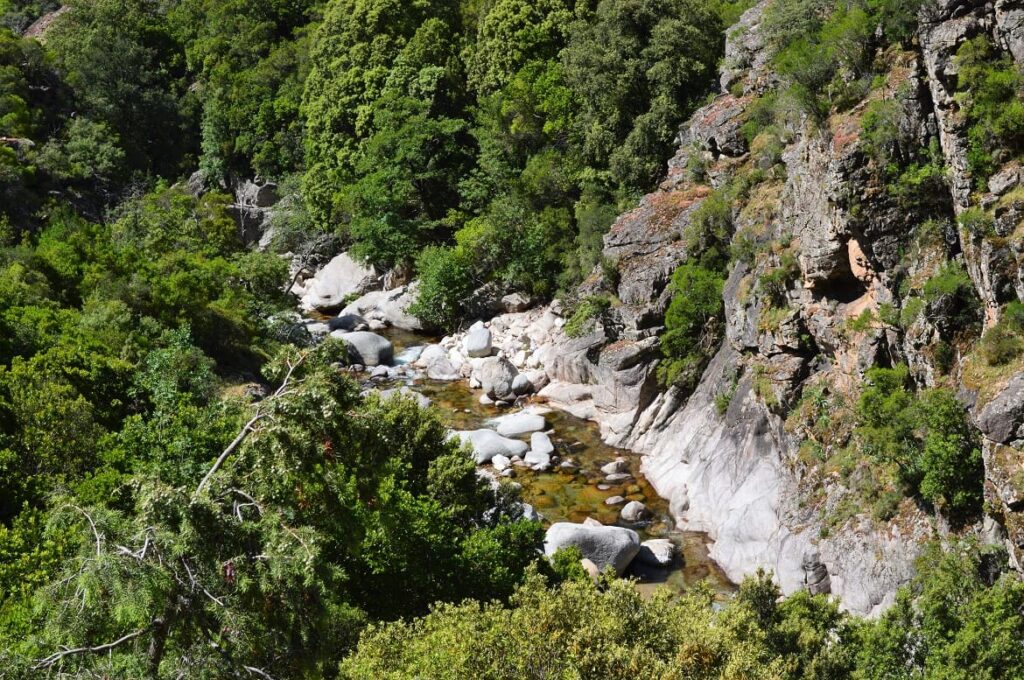 Gorges Spelunca PVF, Natuur Corsica