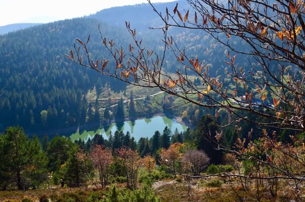 Lac truites uitzicht 2 wandelen meren hoge vogezen pvf, Tanet Gazon du Faing Vogezen