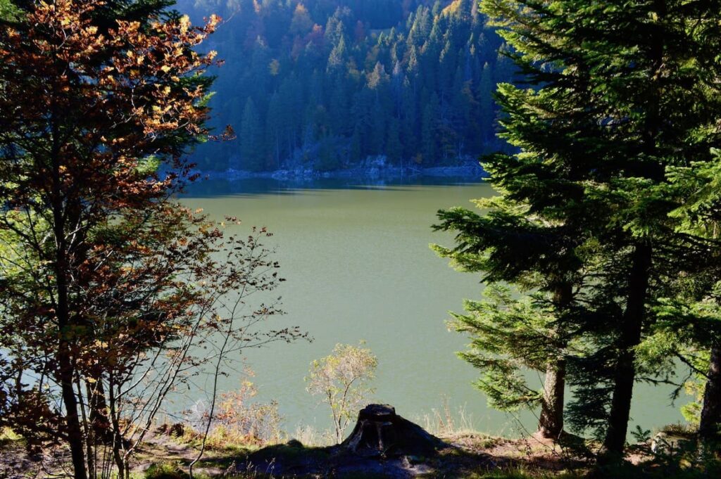 Lac vert wandelen meren hoge vogezen pvf, Tanet Gazon du Faing Vogezen