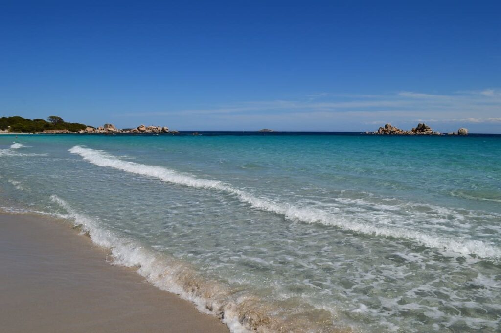 Plage Tamaricciu PVF, Natuur Corsica