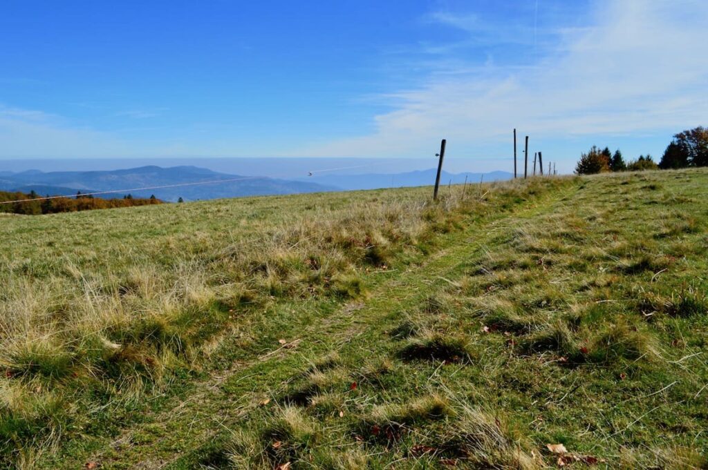 Sentier Des Roches 08 Wandelen Vogezen PvF 1024x681, Zininfrankrijk.nl