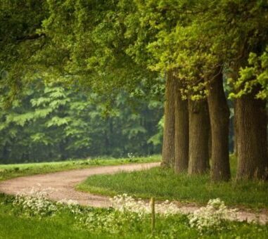 Natuurhuisje Glamping Aan Zee E1642672452804, Zininfrankrijk.nl