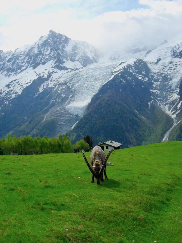 Parc Merlet PVF, Chamonix