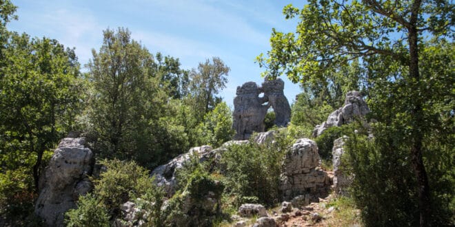 Bois de Paiolive Ardeche shutterstock 1544948498, Wandelen Ardèche