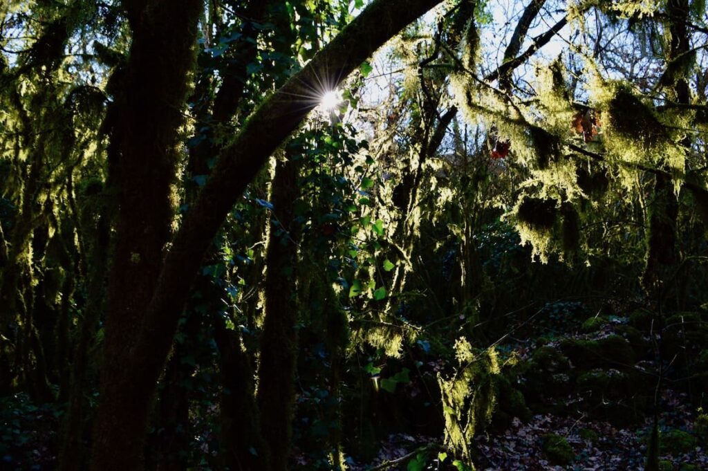 Bois de Paiolive PVF, Natuurplekken Ardèche