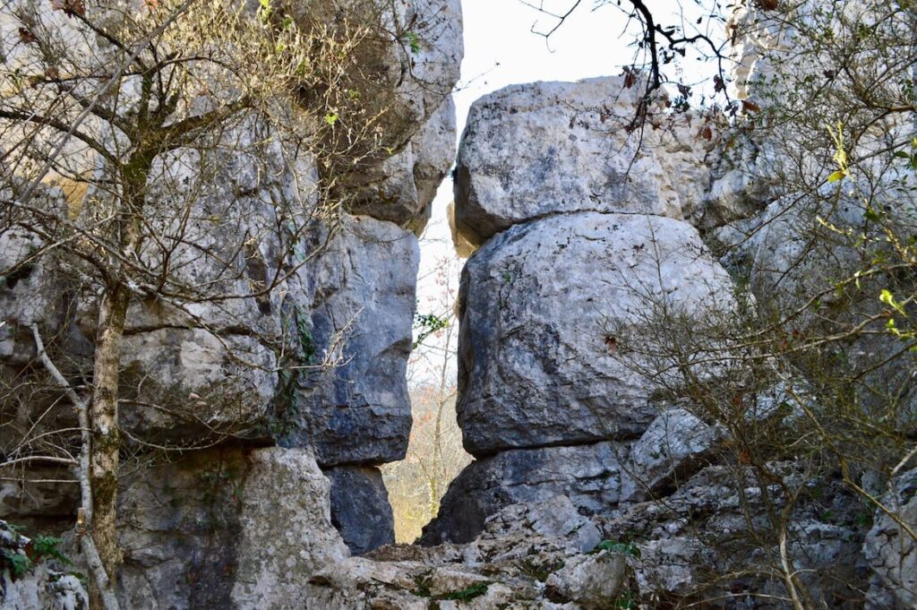 Bois de Paiolive rotsen PVF, Ardèche