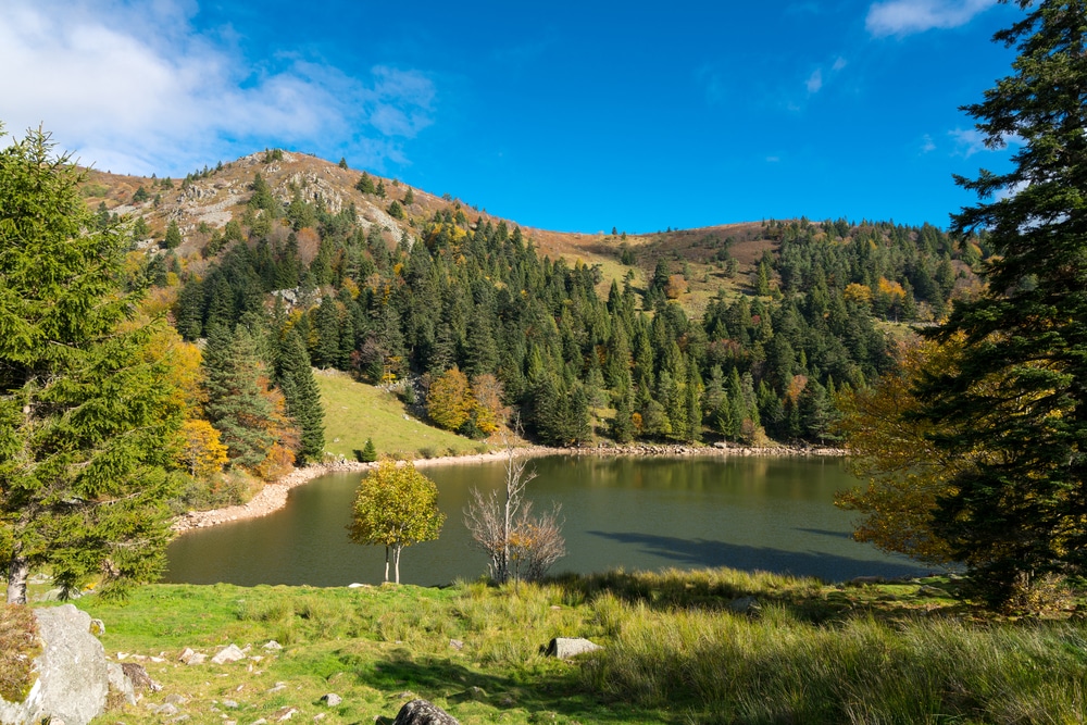 Lac du Forlet Lac des Truites shutterstock 760318111, mooie vakantiehuizen in de morvan