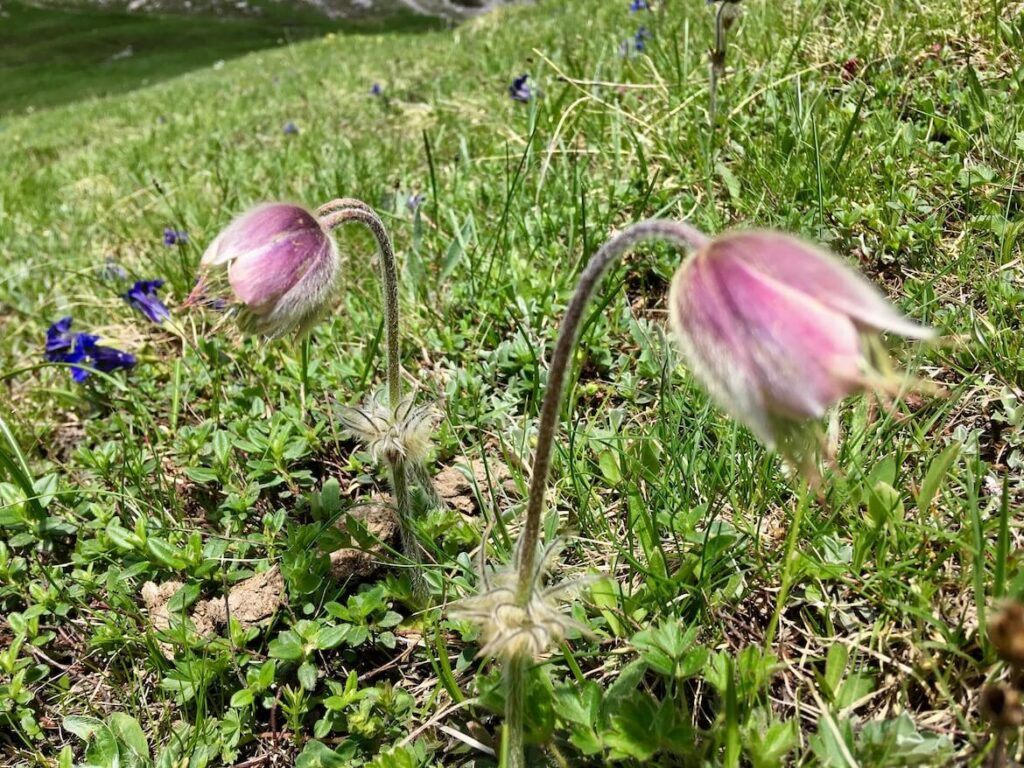 Wandeling Col Gardette 19 PVF, Provence