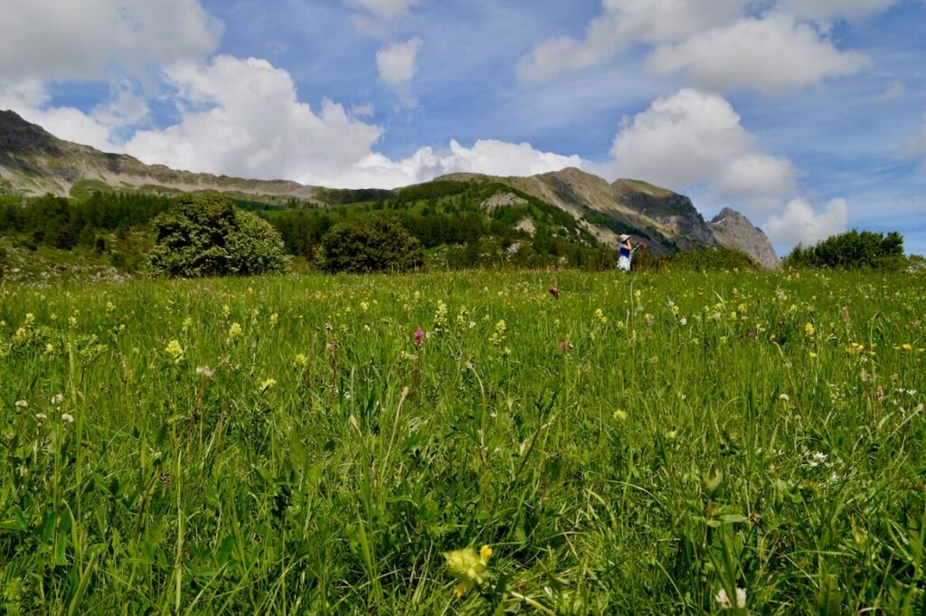 Wandeling Col Gardette 20 PVF, Wandelen Col de la Gardette