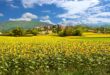 FranceComfort header,