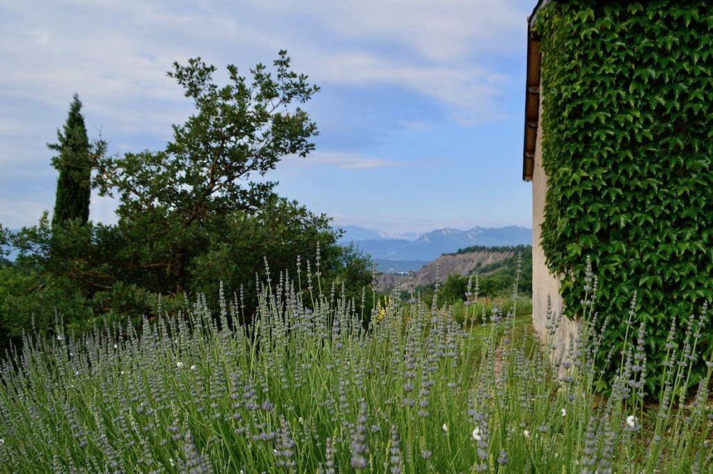 Sisteron provence PVF, Sisteron