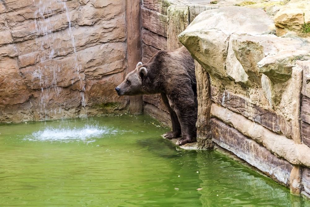 Parc Zoologique dAmneville 261109412, leukste dierentuinen frankrijk