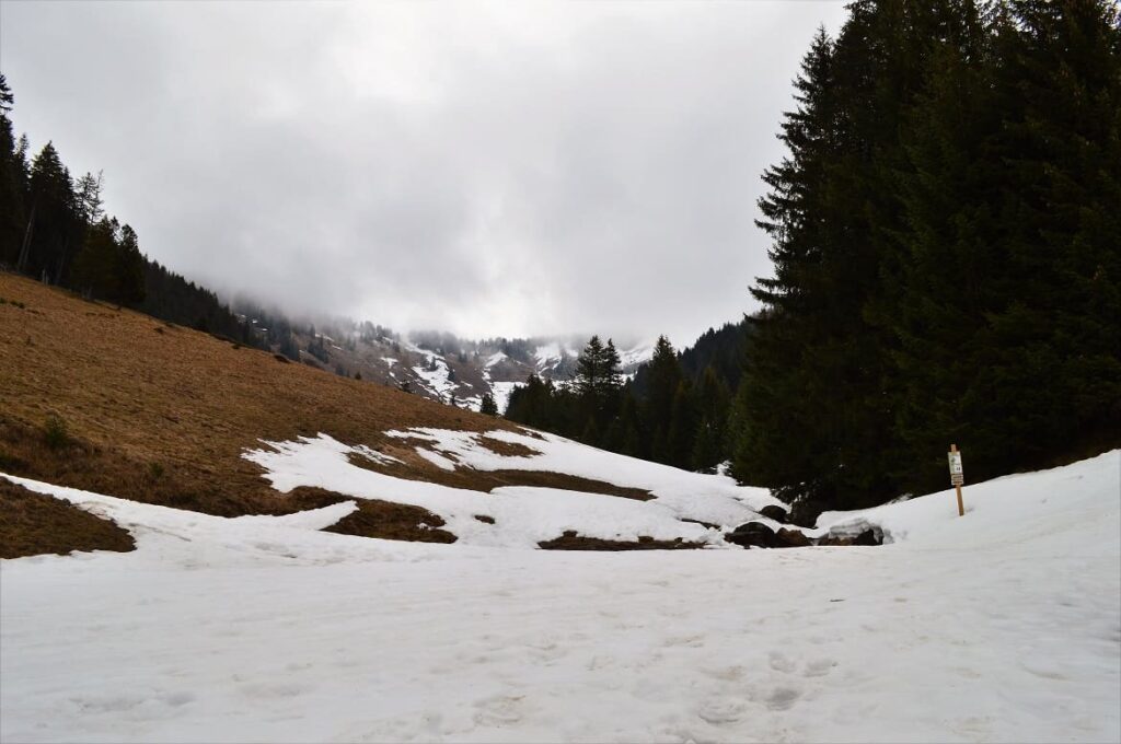 Wandelen Petit Chatel 6 PVF, Wandelen Châtel Franse Alpen