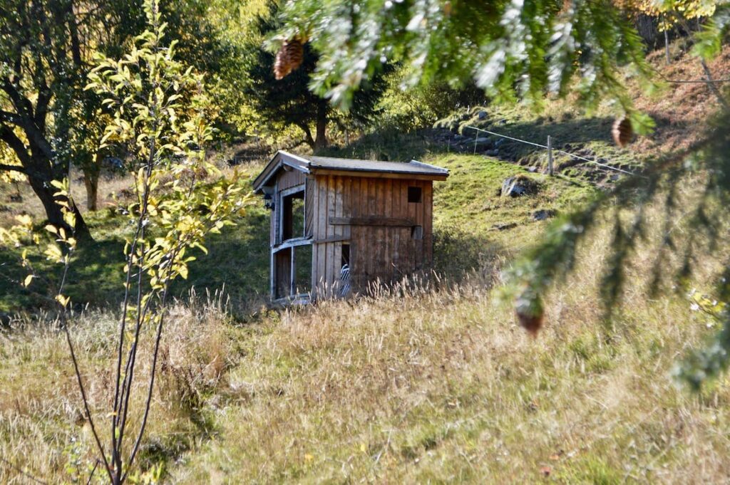 Wandelen hohneck schiessrothried 10 PVF,